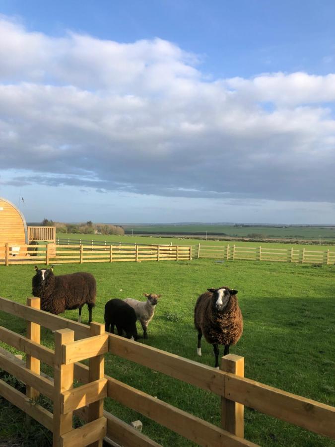Caithness View Luxury Farm Lodges And Bbq Huts Вік Екстер'єр фото